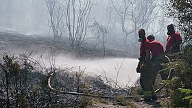 فى مثل هذا اليوم20يوليو2022م..بقلم سامح جميل..