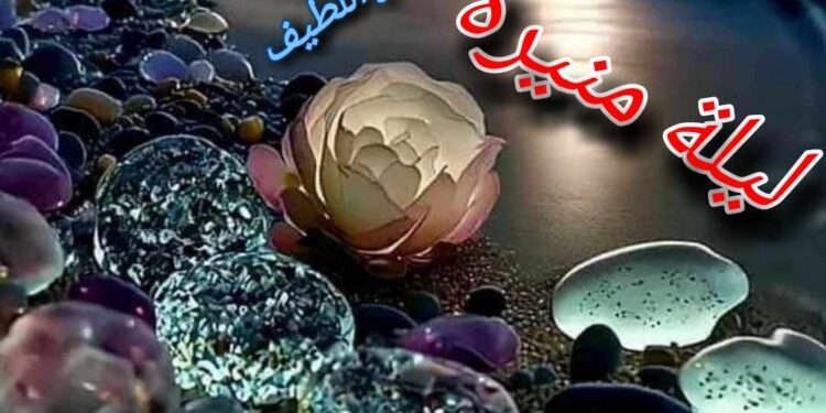 ليلة منيرة بقلم الكاتب ماهر اللطيف