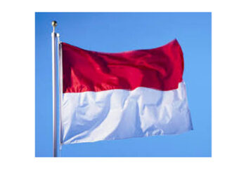 فى مثل هذا اليوم18يوليو1918م..بقلم سامح جميل……..