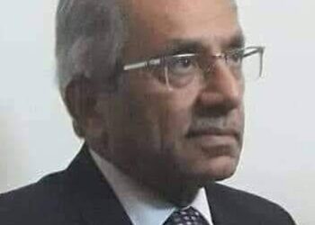 نخل الشام بقلم د علي أحمد جديد سورية