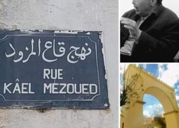 قاع المزود2 بقلم الكاتب نصر العماري