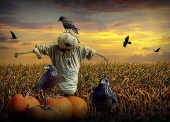 قديس من القش بقلم الكاتب عبد الرازق احمد الشاعر