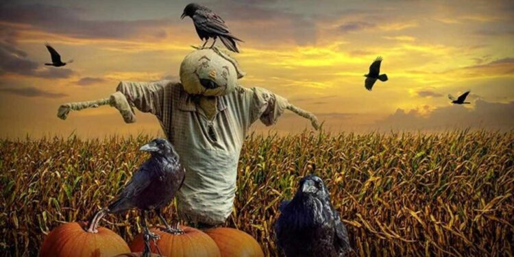 قديس من القش بقلم الكاتب عبد الرازق احمد الشاعر