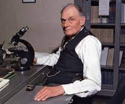 في مثل هذا اليوم8 سبتمبر1985م.. بقلم سامح جميل…….