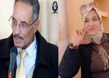 قراءة في مرثيةجديدة في قرطبة للشاعرنور الدين القاسمي بقلم الناقدة منوبية الغضباني تونس