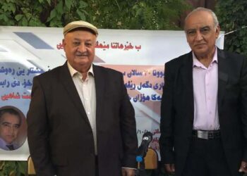 تجليات أنيس ميرو بقلم الأديب عصمت شاهين دوسكي العراق