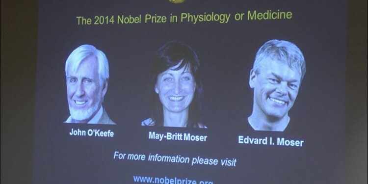 في مثل هذا اليوم6 اكتوبر2014م..