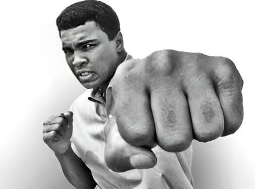 في مثل هذا اليوم 11 ديسمبر1981م..بقلم سامح جميل..