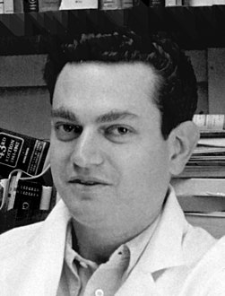 في مثل هذا اليوم 15 يناير2010 م..بقلم سامح جميل..