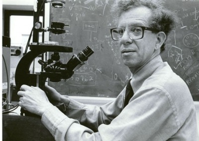 في مثل هذا اليوم9 فبراير 1994م..بقلم سامح جميل..