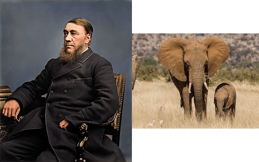 في مثل هذا اليوم 1 فبراير1895م..بقلم سامح جميل…