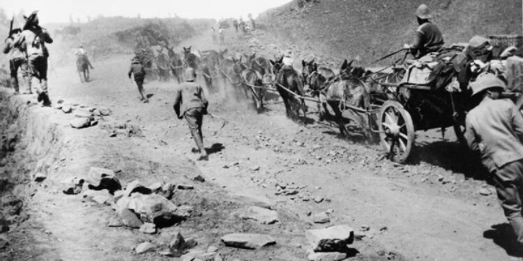 فى مثل هذا اليوم 14 فبراير 1900م..بقلم سامح جميل..