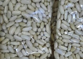 مؤسسة سبل التراحم وكفالة الأيتام وكبار السن توزع السلة الرمضانية الأول 