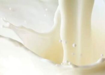 علماء يعدلون وراثيا تنتج في حليبها بروتين الأنسولين البشري