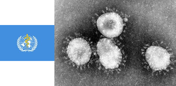 في مثل هذا اليوم11مارس2020م..بقلم سامح جميل..