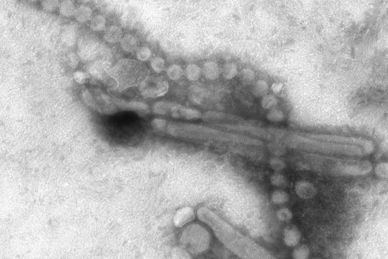 فى مثل هذا اليوم13ابريل2013م..بقلم سامح جميل..