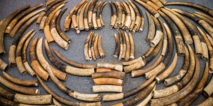 في مثل هذا اليوم 11 مايو1989م..بقلم سامح جميل..