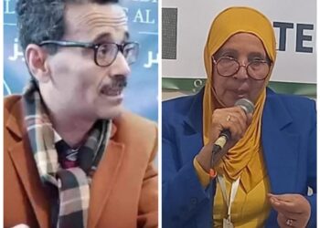 رؤية تحليلية لرباعية لها نمش للشاعر دحمد حاجي بقلم الناقدة فائزة بنمسعود