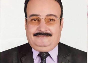د. محمود هريدي : مصر تبذل قصارى جهدها للوصول إلى حل عادل ودائم وشامل في منطقة الشرق الأوسط