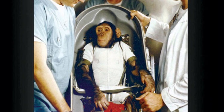 في مثل هذا اليوم28 يوليو1959م..بقلم سامح جميل…