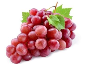 العنب الاحمر وفوائده