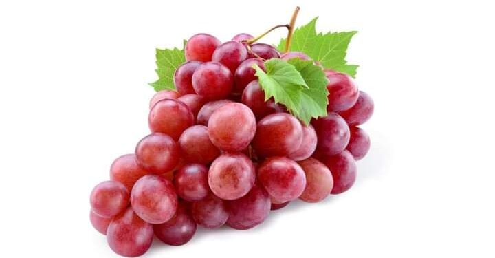 العنب الاحمر وفوائده