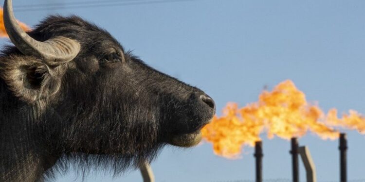 في مثل هذا اليوم14 اكتوبر 1927م..بقلم سامح جميل