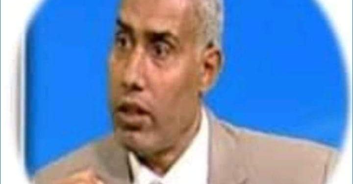 النسر بقلم الدكتور سيد شعبان