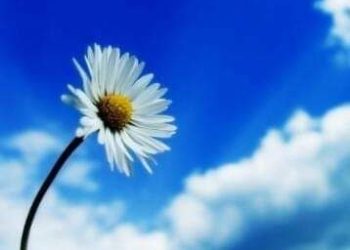 أعاصير الجنون