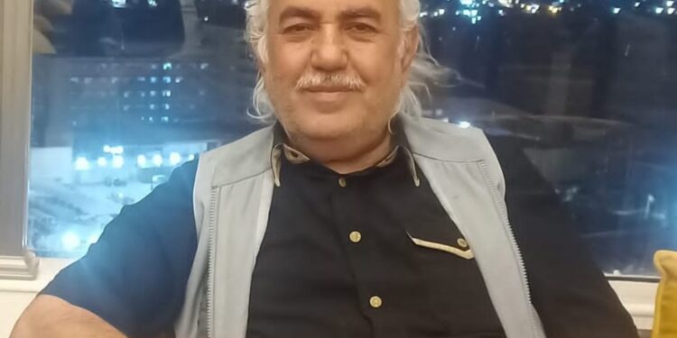 حتما ستعود القطط