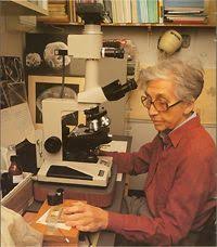 في مثل هذا اليوم 9 نوفمبر2013م..بقلم سامح جميل…….