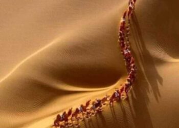 كيف أستخدم او اطبق قواعد المنطق اعداد حكيم زغير الساعدي