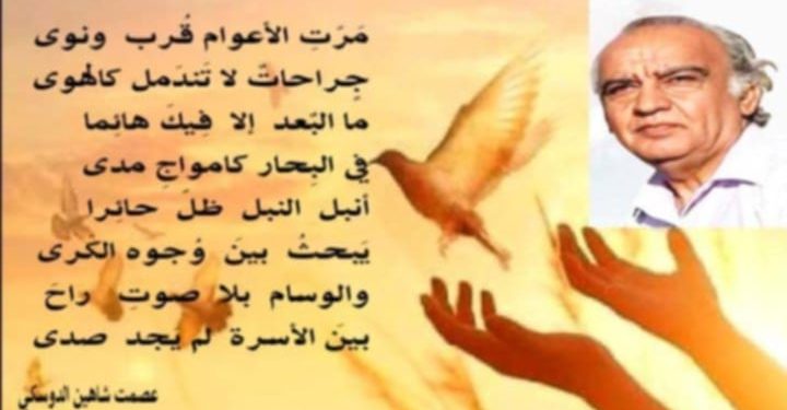 سلوى