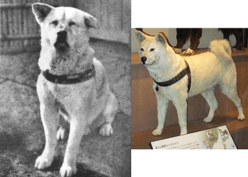 في مثل هذا اليوم21 ابريل1934م..بقلم سامح جميل..