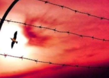 البشير عبيد يكتب الغرباء