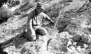 في مثل هذا اليوم27 مايو1960م..بقلم سامح جميل…….