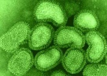 في مثل هذا اليوم11 يونيو 2009 م..بقلم سامح جميل..