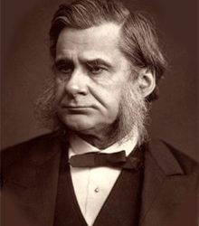 في مثل هذا اليوم29 يونيو1895م..بقلم سامح جميل…………