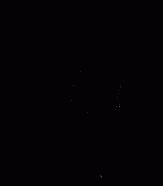 في مثل هذا اليوم24 يوليو1995م..بقلم سامح جميل…………