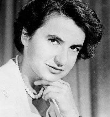 في مثل هذا اليوم 25 يوليو1920م..بقلم سامح جميل……….