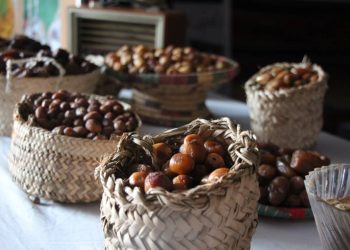 فعاليات مهرجان صيف بنغازى “بصري نابض بالحياه