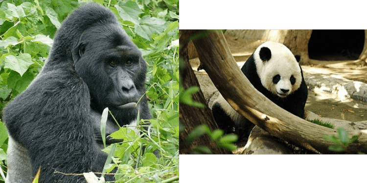 في مثل هذا اليوم6 سبتمبر2016م..بقلم سامح جميل…