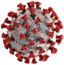 في مثل هذا اليوم 17 نوفمبر2019م..بقلم سامح جميل..
