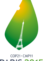 فى مثل هذا اليوم 30 نوفمبر2015م..بقلم سامح جميل….