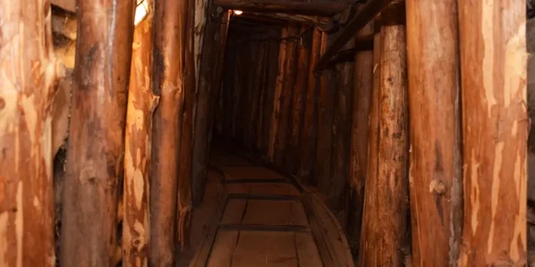 في مثل هذا اليوم 17 ديسمبر1992م..بقلم سامح جميل………