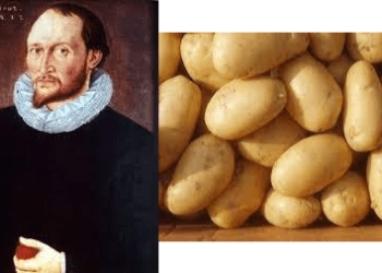 فى مثل هذا اليوم 3ديسمبر1586م..بقلم سامح جميل..