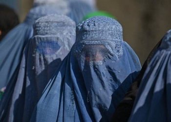 في مثل هذا اليوم 7 يناير1929م..بقلم سام حجميل..